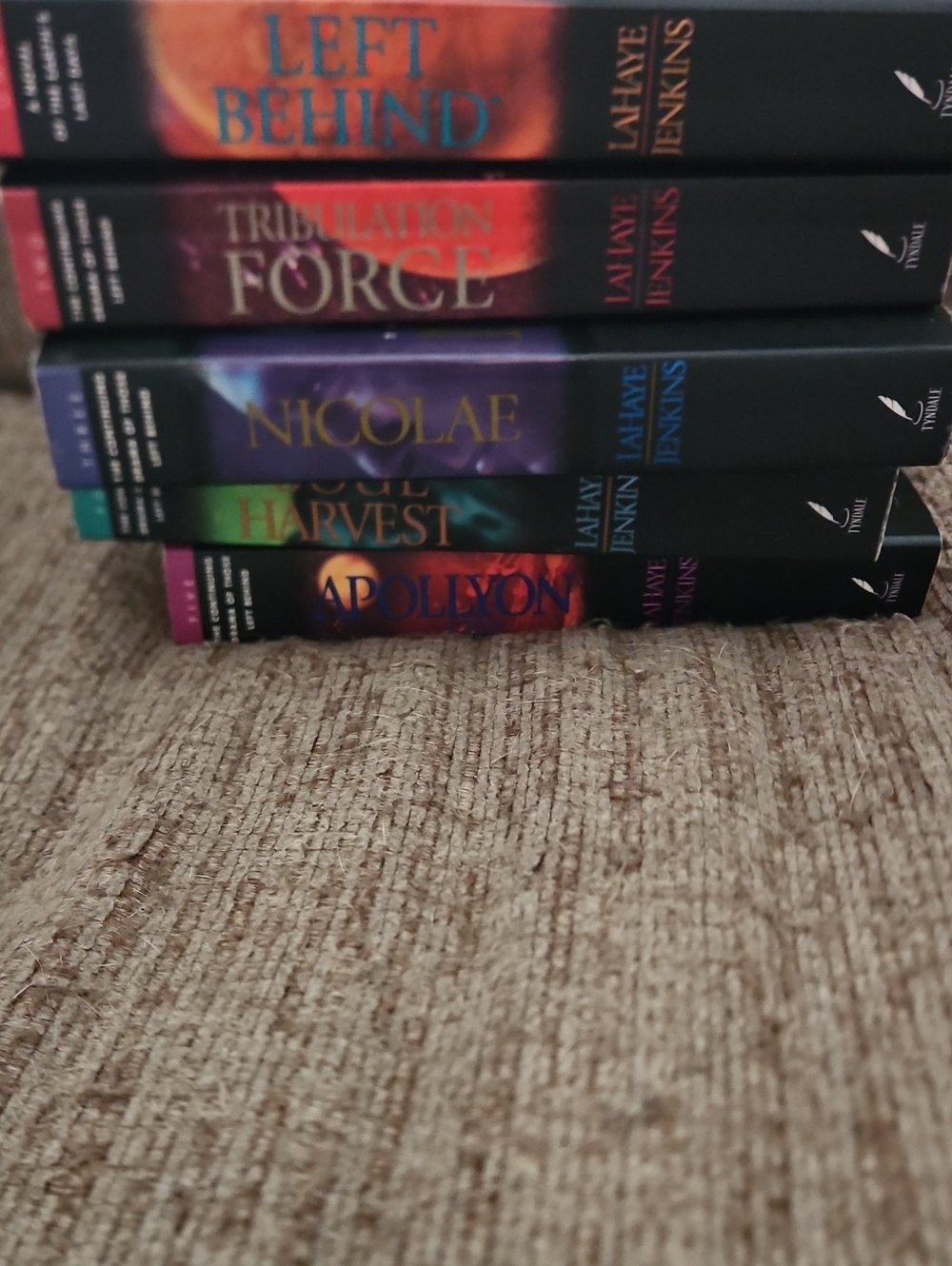 Left Behind Book Set - All 5 Paperback